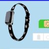 Intelligent Pet Tracker: The Ultimate Anti-Lost Gps Collar For Pets - immagine 3