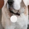 Gps Tracker For Dogs Cat Pet Child Smart Tag Gadgets Keychain For Keys - immagine 2