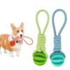 Durable Rubber Ball Chew Toy with Cotton Rope - immagine 2
