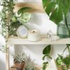 Space Clearing Candle/ Intention Candle / Organic Soy Candle / Candle - immagine 3