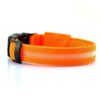 USB RECHARGEABLE LED PET DOG COLLAR - immagine 3