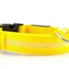 USB RECHARGEABLE LED PET DOG COLLAR - immagine 4