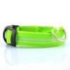 USB RECHARGEABLE LED PET DOG COLLAR - immagine 5